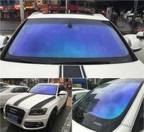 Chameleon Films Are in Producing