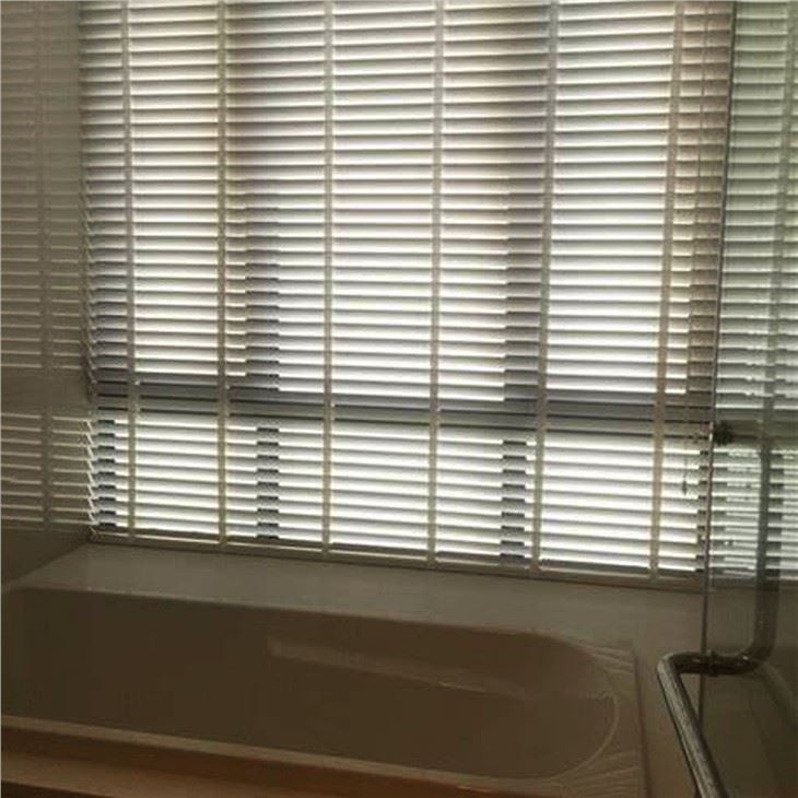 Venetian Blind Film